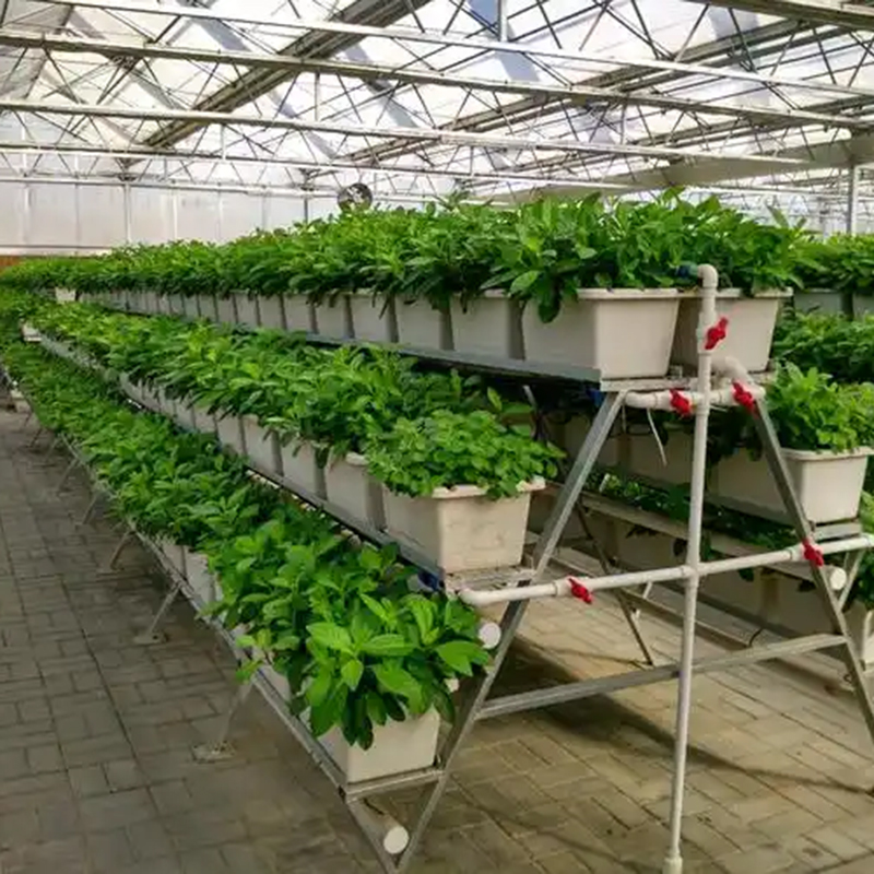 滨州市植物工厂苗床 - 一站式服务