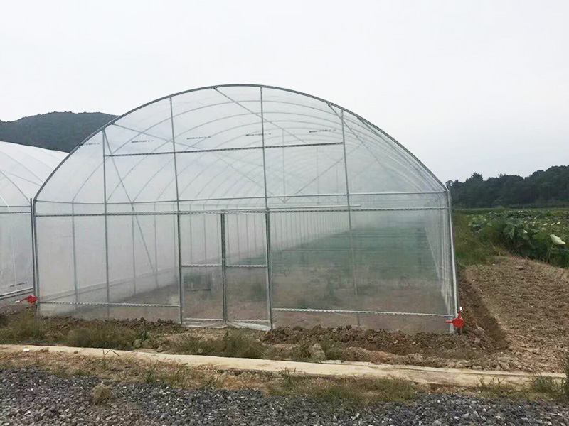 滨州市薄膜大棚水培设备 - 推荐